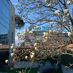 Ξενοδοχείο Da Porto 4*